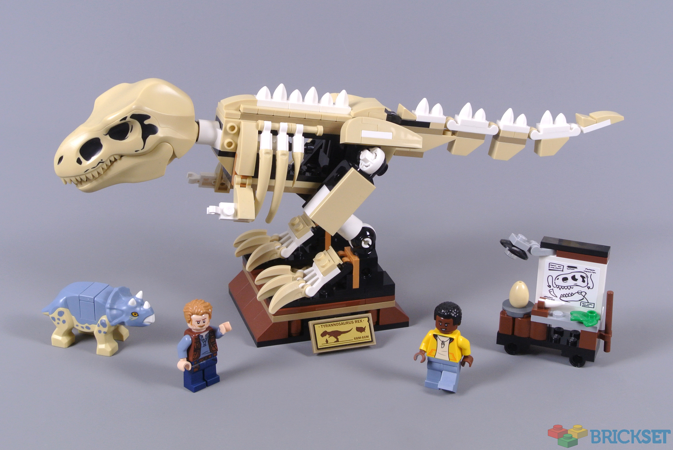 Lego t clearance rex skeleton